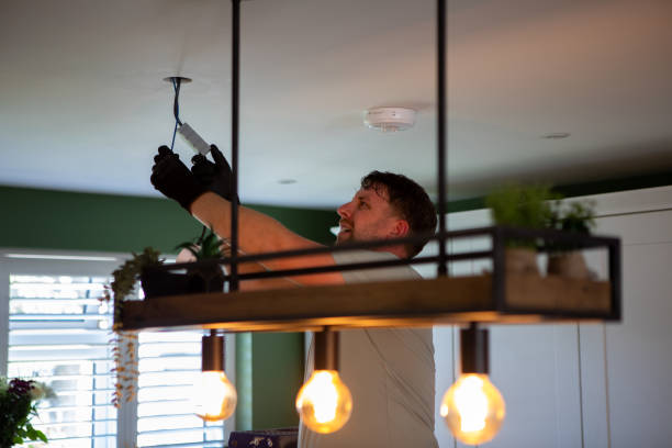Best Electric Panel Repair  in Wrens, GA